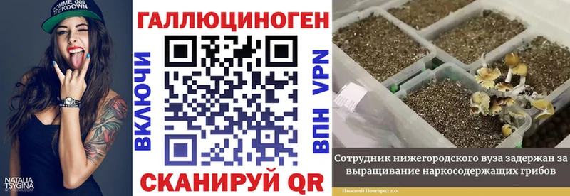 Галлюциногенные грибы MAGIC MUSHROOMS  Петушки 