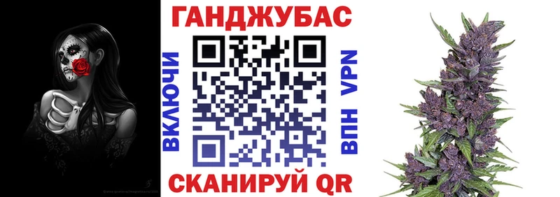 купить закладку  Петушки  Бошки Шишки LSD WEED 